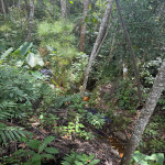 Lote en Venta en El Tablazo, Rionegro — miniatura 14