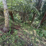 Lote en Venta en El Tablazo, Rionegro — miniatura 15