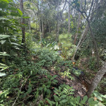 Lote en Venta en El Tablazo, Rionegro — miniatura 17