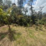Lote en Venta en El Tablazo, Rionegro — miniatura 3