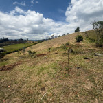 Lote en Venta en El Tablazo, Rionegro — miniatura 7