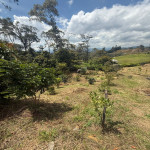 Lote en Venta en El Tablazo, Rionegro — miniatura 9