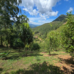 Finca en Venta en Vereda Las Lajas, Barbosa — miniatura 25