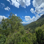 Finca en Venta en Vereda Las Lajas, Barbosa — miniatura 26