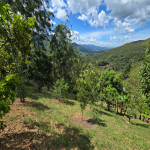 Finca en Venta en Vereda Las Lajas, Barbosa — miniatura 27