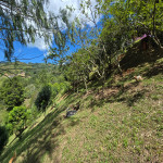Finca en Venta en Vereda Las Lajas, Barbosa — miniatura 28
