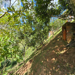 Finca en Venta en Vereda Las Lajas, Barbosa — miniatura 29