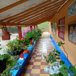 Finca en Venta en Parque Arvi, Guarne — miniatura 11