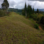 Finca en Venta en Parque Arvi, Guarne — miniatura 19