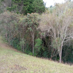 Finca en Venta en Parque Arvi, Guarne — miniatura 25