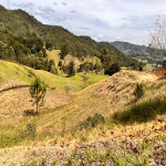 Lote en Venta en El Tambo, La Ceja — miniatura 4