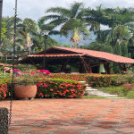 Finca en Venta en Olaya, Sopetrán — miniatura 12