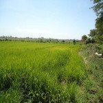 Lote en Venta en PIVIJAY, Pivijay — miniatura 11