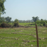 Lote en Venta en PIVIJAY, Pivijay — miniatura 13