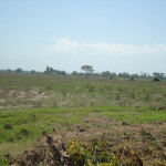Lote en Venta en PIVIJAY, Pivijay — miniatura 14