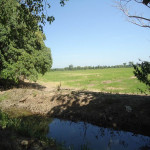Lote en Venta en PIVIJAY, Pivijay — miniatura 15