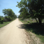 Lote en Venta en PIVIJAY, Pivijay — miniatura 17
