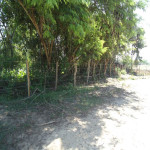 Lote en Venta en PIVIJAY, Pivijay — miniatura 18