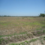 Lote en Venta en PIVIJAY, Pivijay — miniatura 19