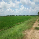 Lote en Venta en PIVIJAY, Pivijay — miniatura 2