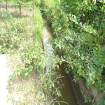 Lote en Venta en PIVIJAY, Pivijay — miniatura 3