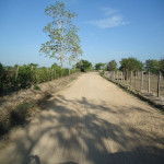 Lote en Venta en PIVIJAY, Pivijay — miniatura 6