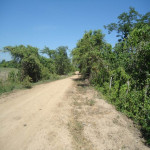 Lote en Venta en PIVIJAY, Pivijay — miniatura 9