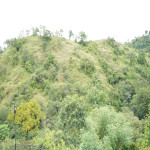 Finca en Venta en San jeronimo, San Jerónimo — miniatura 3