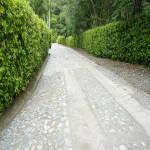 Finca en Venta en San jeronimo, San Jerónimo — miniatura 8