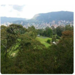 Apartamento en Venta en Belén La Mota, Medellín — miniatura 10