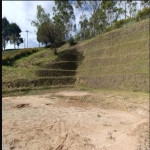 Terreno en Venta en el carmin, Rionegro — miniatura 5