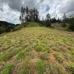 Lote en venta en Vereda Pantanillo, Retiro