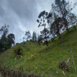 Lote en Venta en Vereda Pantanillo, Retiro — miniatura 4