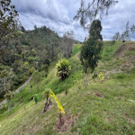 Lote en Venta en Vereda Pantanillo, Retiro — miniatura 9