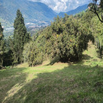 Lote en Venta en Girardota — miniatura 1