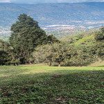 Lote en Venta en Girardota — miniatura 2