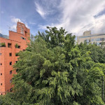 Apartamento en Venta en CAMPESTRE, Medellín — miniatura 3