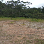 Lote en Venta en Alto de la Virgen, Guarne — miniatura 3