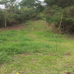 Lote en Venta en Alto de la Virgen, Guarne — miniatura 7