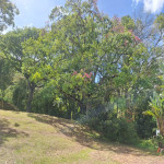 Finca en Venta en La Unión — miniatura 3