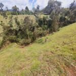 Lote en Venta en San Antonio, Rionegro — miniatura 2