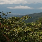 Lote en Venta en Santafé De Antioquia, Santafé De Antioquia — miniatura 4