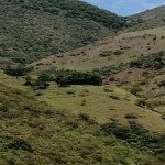 Lote en Venta en Santafé De Antioquia, Santafé De Antioquia — miniatura 6