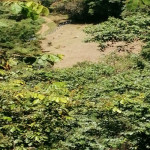 Lote en Venta en Santafé De Antioquia, Santafé De Antioquia — miniatura 7
