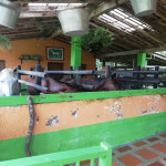 Finca en Venta en Venecia la Argelia, Venecia — miniatura 12