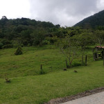 Finca en Venta en Venecia la Argelia, Venecia — miniatura 2