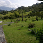 Finca en Venta en Venecia la Argelia, Venecia — miniatura 7