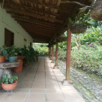 Finca en Venta en Venecia El Vergel, Venecia — miniatura 3