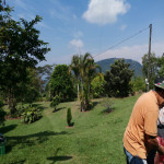 Finca en Venta en Venecia El Vergel, Venecia — miniatura 8