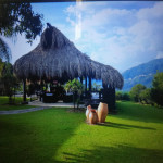 Finca en Venta en Venecia, Venecia — miniatura 8